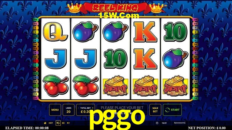 Experiência VIP pggo