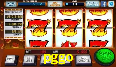 Experiência VIP pggo